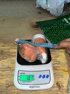 Cartoon Themed Tap Faucet Extender ( Assorted Pack of 1 )